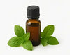 Basil Oil