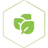 Enriched with 12 Herbal Essential Oils