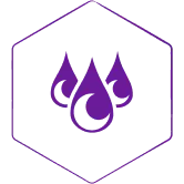 Non-Greasy & Quick Absorb