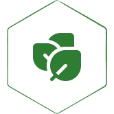 7 Powerful Herbal Oils