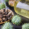 Erand Oil